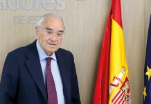 Rodolfo Martín Villa