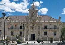 La Universidad. Una historia familiar y personal