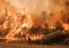 Portal Registral de Emergencias. Tu escudo en tiempo real ante emergencias naturales