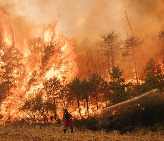 Portal Registral de Emergencias. Tu escudo en tiempo real ante emergencias naturales